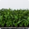 Green Artificial Grass