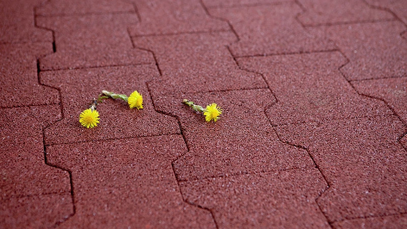 The photo shows a close-up of red rubber interlocking pavers in a double-T format. Two small yellow flowers rest on the surface, highlighting the texture and colour of the material. The elastic surface made from PU-bound rubber granulate is finely porous, water-permeable and nearly seamless. The image emphasises the calm, natural character and detail quality of the material.