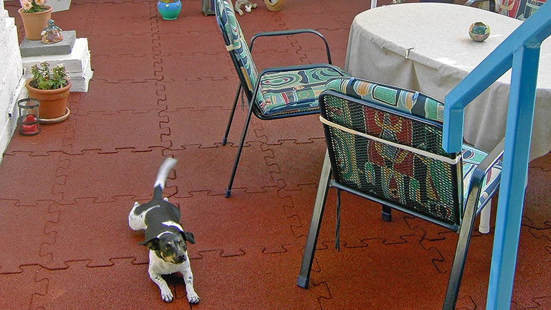 This photo shows a balcony covered with red WARCO puzzle tiles. A small dog moves freely on the elastic, slip-resistant surface, while a seating area invites social gatherings. The flooring protects the subfloor from moisture and damage, offering low-maintenance and weatherproof qualities. As a result, this outdoor space remains a cosy spot for relaxation over many years.